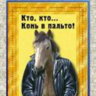 Конь-в-пальто