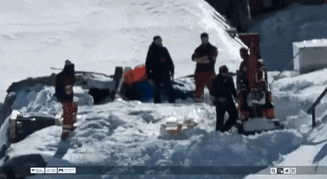 11267267_original.gif